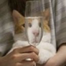 씨스페이스24 퇴계원공원점 | [멜버른 워홀, 호주 워홀] 1-7일차, 저는 잘~지내고 있습니다