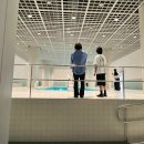 현대엘림 | [전시] 아모레퍼시픽 미술관, 엘림그린&amp;드라그셋 Spaces 관람 후기