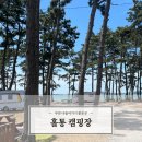 무안 홀통 캠핑장 유원지 홀통해수욕장 / 광주근교 아이랑 가볼만한곳