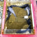 다대씨파크 이미지