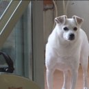 윤구농장 이미지