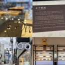 스키드 안경원 이미지