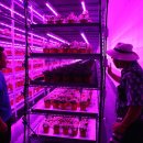 첨단농장 이미지