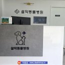 설악동물병원 네이버블로그