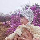 중앙종합정비 | 부천종합운동장 진달래동산 다녀옴🌸 규모 미쳤다 (유모차 가능/주차정보)