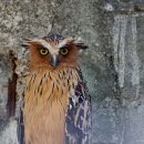 마음의안경 이미지