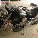 데이스타 이미지