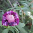 창성여인숙 이미지