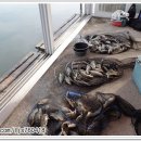 반디불민박 이미지