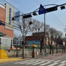 옐로카펫 이미지