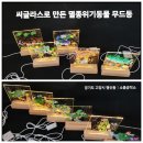 덕암초등학교 | 유치원 찾아가는 환경교육 ㅣ 씨글라스로 만드는 멸종 위기 동물 LED 무드등 체험학습