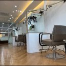 초록헤어 이미지