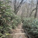 두루산장 이미지