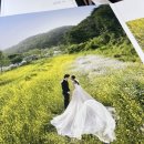 와와PC | 다이렉트 수원센터 스드메 방문 상담 및 계약 후기