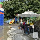 비타민팜 이미지