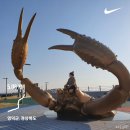 강구식자재할인마트 이미지