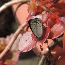 모둘자리 이미지