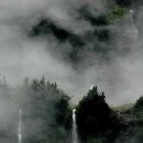 숲속풍경 이미지