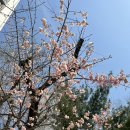 솔직한 후기 가득한 나에 일상들(뒤죽박죽 주의)