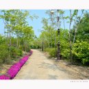 한밭수목원 동원 이미지