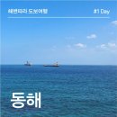 GS25대진항점 | 동해여행 <묵호시장 어달해변 대진해변 망상해변 동해시내 한섬해변>