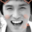 댕이의하루 이미지