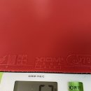 베가(VEGA) 이미지