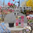 살구꽃공원 | 대구에는 목련과 개나리,살구꽃, 진달래와 매화가 함께 폈어요- 스타벅스 스프링 블랜드 솔직 후기