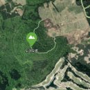 애월다래네 이미지