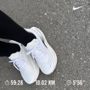 종로맥스(Max)독서실 | [러닝] 온유어마크 경복궁점에서 데려온 새 신발, 브룩스 글리세린 맥스(Glycerin Max) 솔직 후기