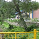 녹전초교 이미지