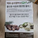 주식회사송이향 네이버블로그