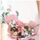 뮤즈플레르 이미지