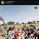 기린08 | 아프리카 신행이다 08 : 케냐 기린호텔 대신 탄자니아 서벌와일드라이프 Serval Wildlife 예약방법 및 후기