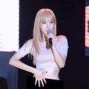 달성금방 Daum카페