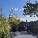 모티브 하우스 | 제주 서쪽 한경면 야외 자쿠지 감성숙소 모티브하우스 독채숙소 위치
