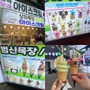 블랙핑크 | 단양 구경시장 디저트 추천! 특허받은 마늘 아이스크림 맛본 블랙핑크아이스크림 내돈내산 후기