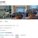 충남슈퍼 - 성북구 동소문로42나길 6-2 | [육아후기] 당진 아이와 가볼만한 곳 추천! 직접 만지고 체험하는 추천 동물카페 '슈퍼드래곤' 후기🦎🐍