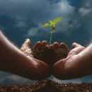 달구지모터스 이미지