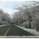 시골풍경 이미지