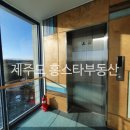 홍스타부동산공인중개사사무소 이미지