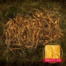 삼가-6 쇼핑하우