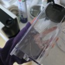 연세대학교부속건강센터 | 260212-260219 망한 포장이사 후기가 이런 걸까.