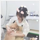 우리 펫 살롱 이미지