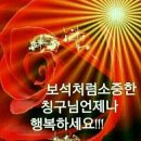 멋진친구 Daum카페