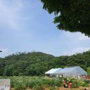 신원동 청룡텃밭 이미지