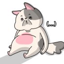 달라라토탈뷰티 이미지