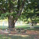 기북초등학교 이미지