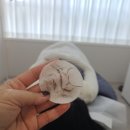 보임플래닝