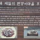 버드러지 네이버블로그